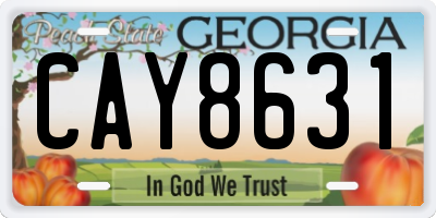 GA license plate CAY8631