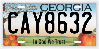 GA license plate CAY8632