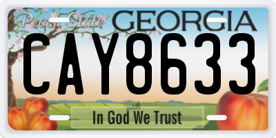 GA license plate CAY8633