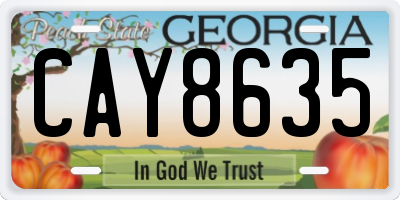 GA license plate CAY8635