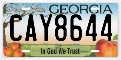 GA license plate CAY8644