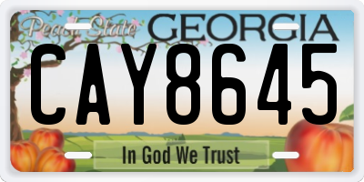 GA license plate CAY8645