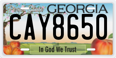 GA license plate CAY8650