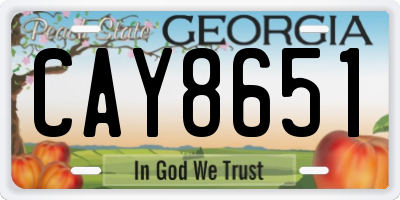 GA license plate CAY8651