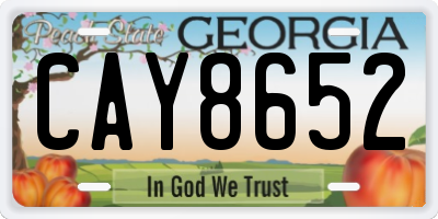 GA license plate CAY8652