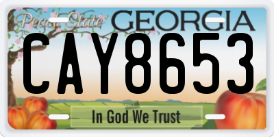 GA license plate CAY8653