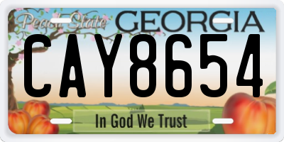 GA license plate CAY8654