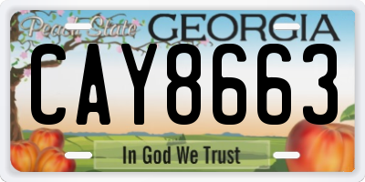 GA license plate CAY8663
