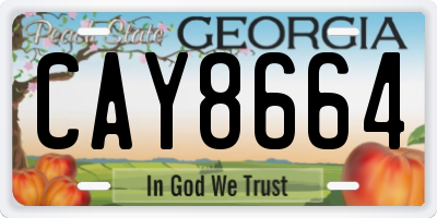 GA license plate CAY8664
