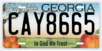 GA license plate CAY8665