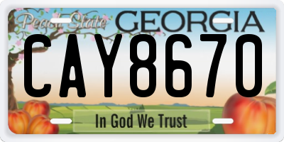 GA license plate CAY8670