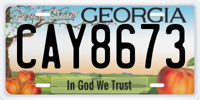 GA license plate CAY8673