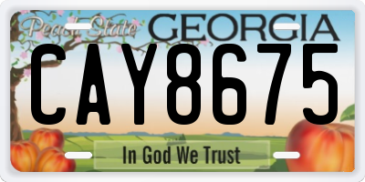 GA license plate CAY8675