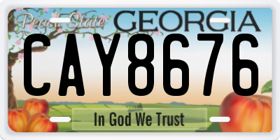 GA license plate CAY8676