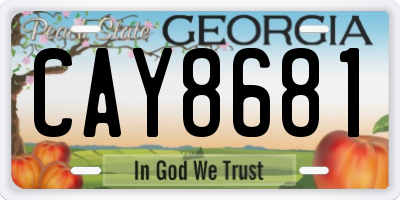 GA license plate CAY8681