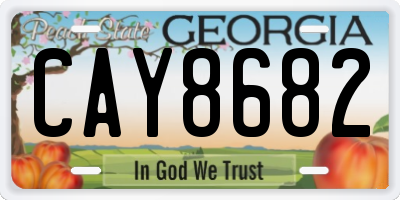 GA license plate CAY8682
