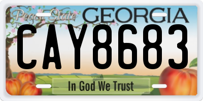 GA license plate CAY8683