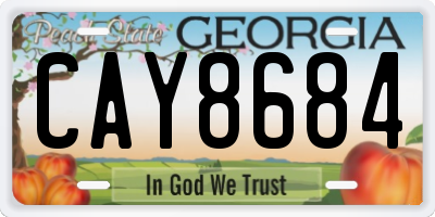 GA license plate CAY8684