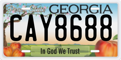 GA license plate CAY8688