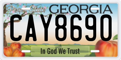 GA license plate CAY8690