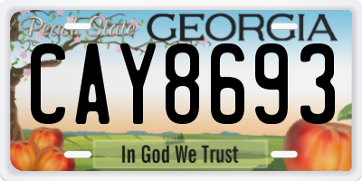 GA license plate CAY8693
