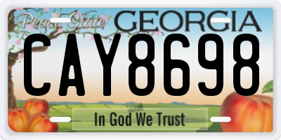 GA license plate CAY8698
