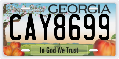 GA license plate CAY8699
