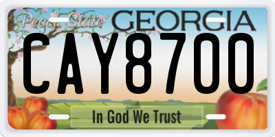 GA license plate CAY8700