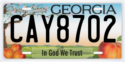 GA license plate CAY8702