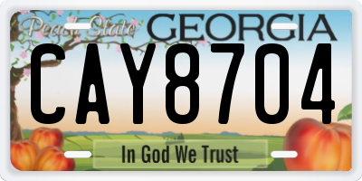 GA license plate CAY8704