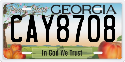 GA license plate CAY8708