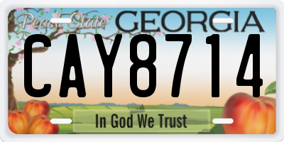 GA license plate CAY8714
