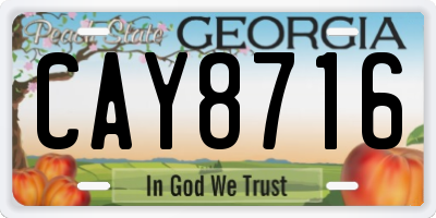 GA license plate CAY8716