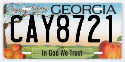 GA license plate CAY8721