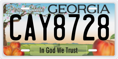 GA license plate CAY8728