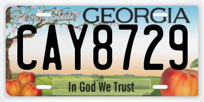 GA license plate CAY8729