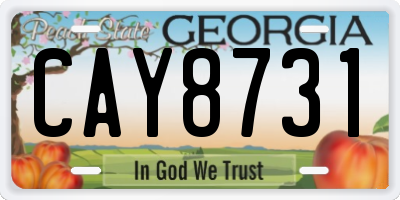 GA license plate CAY8731