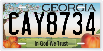 GA license plate CAY8734