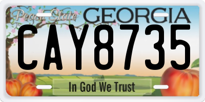 GA license plate CAY8735