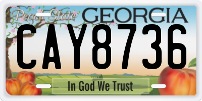 GA license plate CAY8736