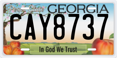GA license plate CAY8737