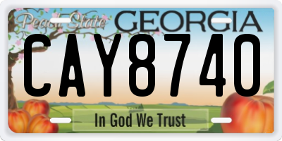 GA license plate CAY8740