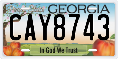 GA license plate CAY8743
