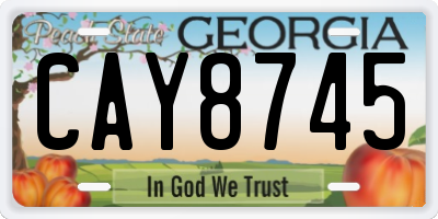 GA license plate CAY8745