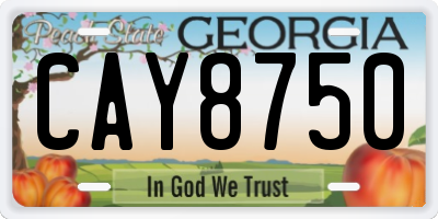 GA license plate CAY8750