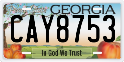 GA license plate CAY8753