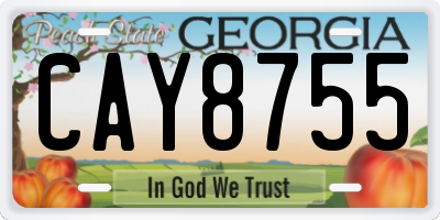 GA license plate CAY8755