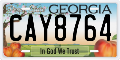 GA license plate CAY8764