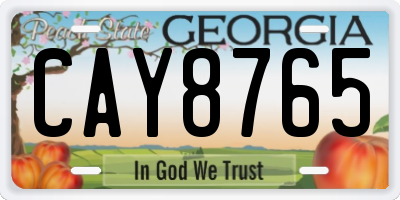 GA license plate CAY8765
