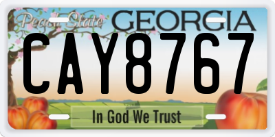 GA license plate CAY8767